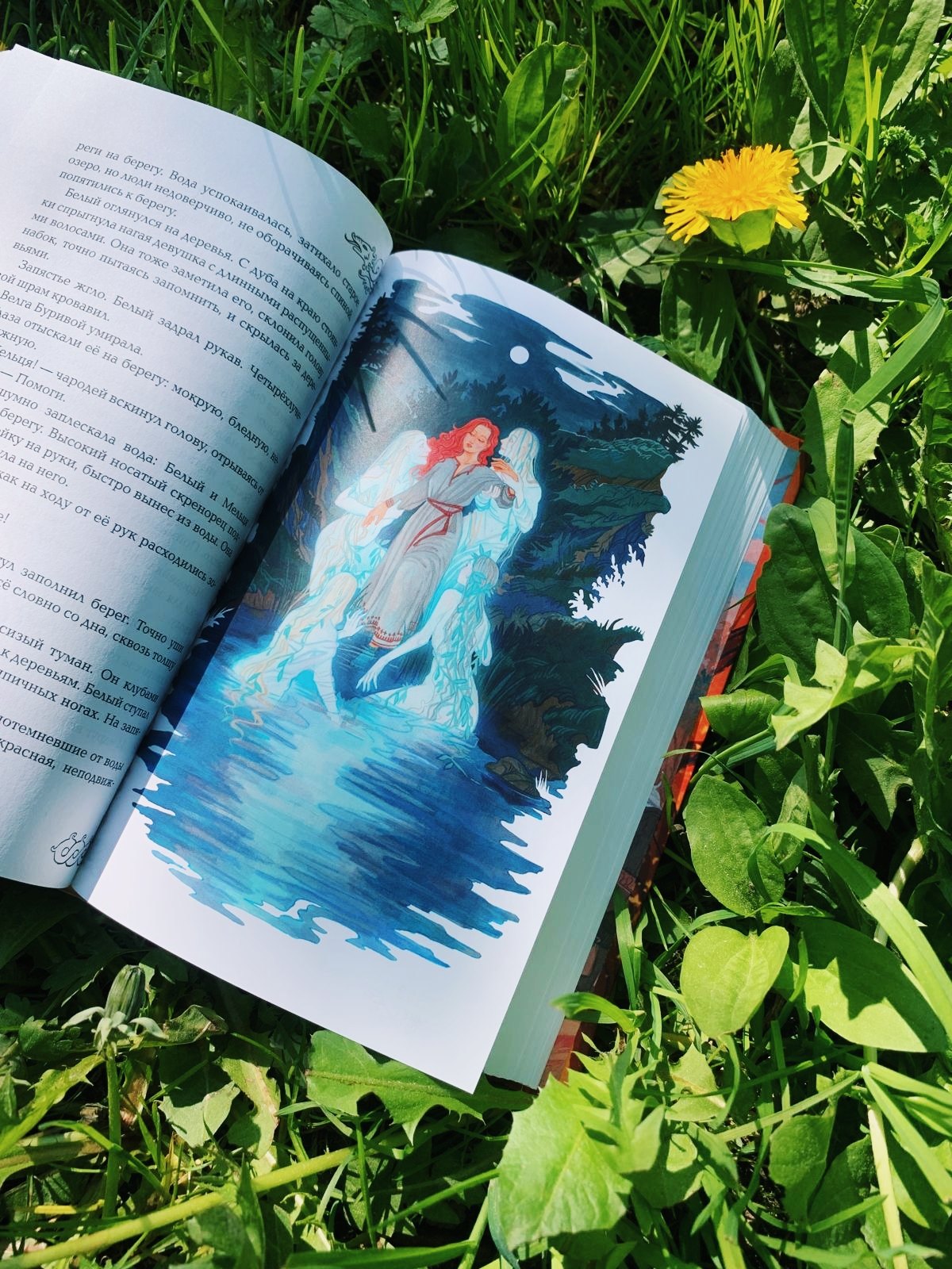 Изображение бумажной книги