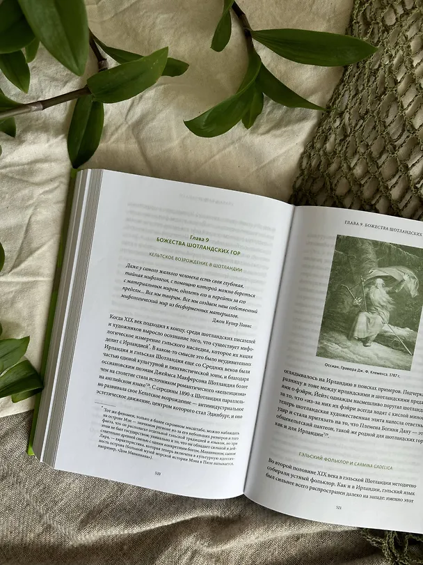 Книга Ирландские мифы. От Племен Богини Дану и Кром Круаха до «кельтских сумерек» и Самайна (Марк Уильямс) — 15