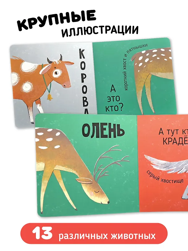 Книга Кто там? Картинки-половинки (Алина Махалова) — 6