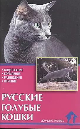 Русские голубые кошки. Содержание. Кормление. Разведение. Лечение — 1811030 — 1