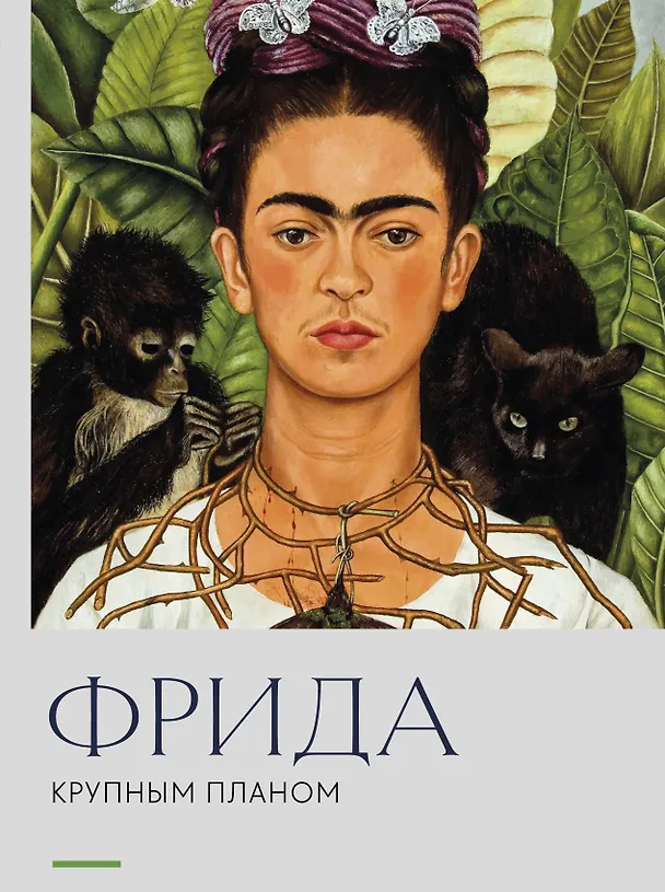 Книга Фрида. Крупным планом () — 1