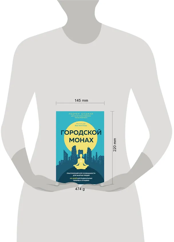 Книга Городской монах (Педрам Шоджай) — 5