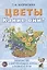 Цветы. Какие они? Книга для воспитателей, гувернеров и родителей — 2752000 — 1