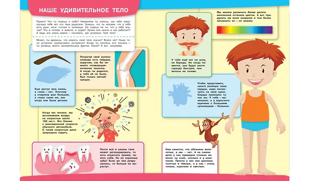 Книга Тело человека. Моя первая энциклопедия с наклейками (Вениамин Медов) — 3