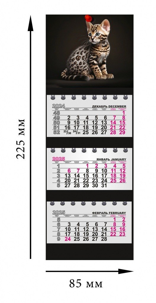 Путеводитель с картами и схемами Великий Новгород и окресности
