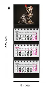 Путеводитель с картами и схемами Великий Новгород и окресности