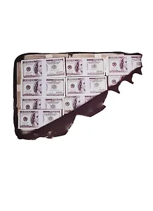 Наклейка на чемодан Деньги (003150)