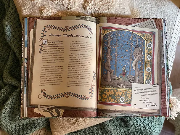 Книга Драконы. Удивительные создания со всего света (Томислав Томич) — 13