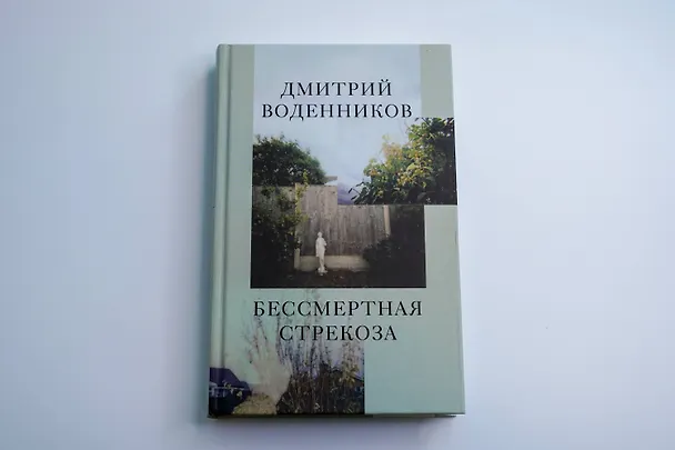 Книга Бессмертная стрекоза (Дмитрий Воденников) — 10