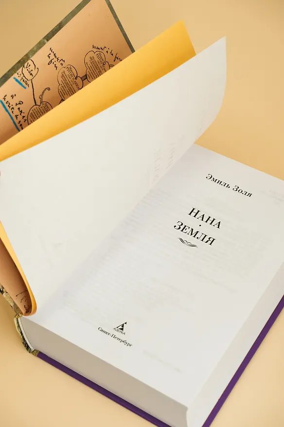 Книга Нана. Земля (Эмиль Золя) — 13