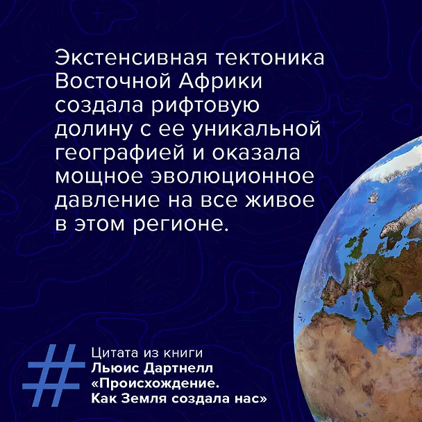 Книга Происхождение (Льюис Дартнелл) — 6