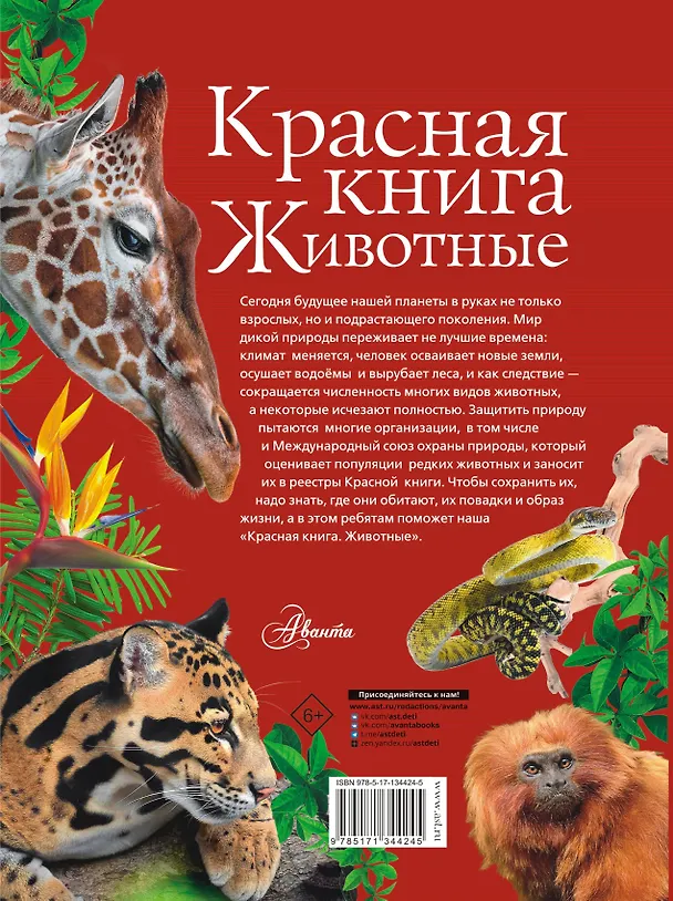 Книга Красная книга. Животные (Наталья Куксина) — 2