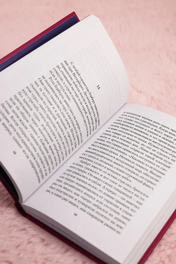 Книга Ольга (Бернхард Шлинк) — 14