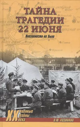 Тайна трагедии 22 июня. Внезапности не было — 2520179 — 1