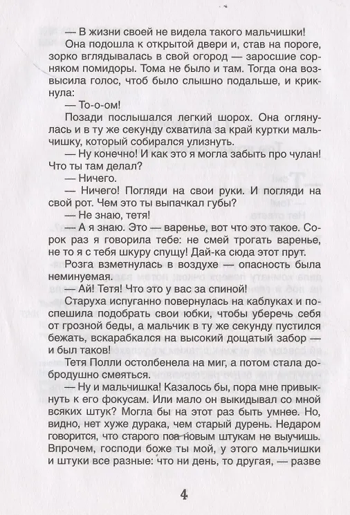 Книга Приключения Тома Сойера (Марк Твен) — 6
