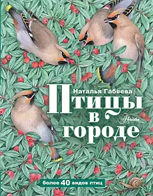 Птицы в городе
