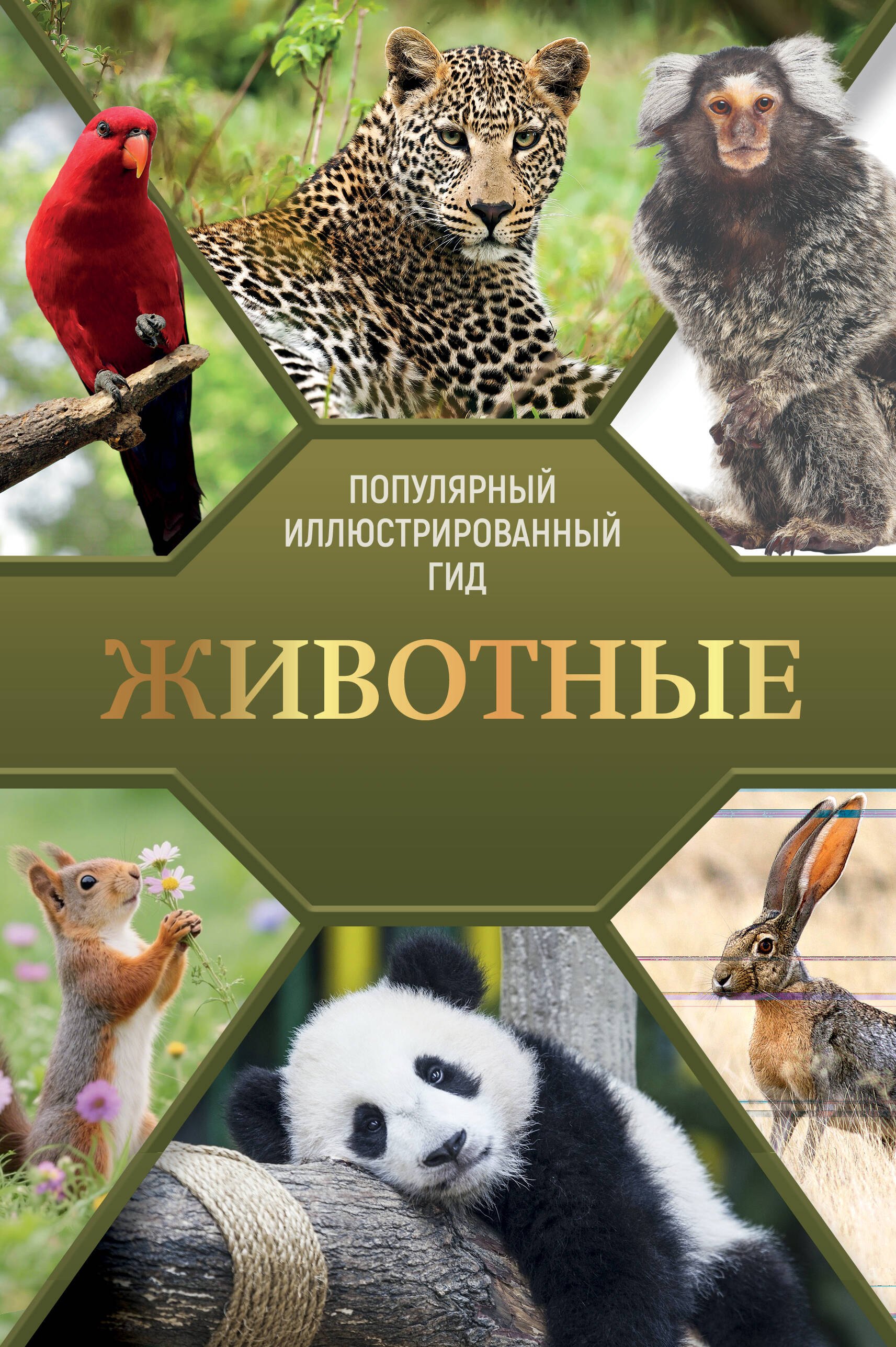 None Животные. Популярный иллюстрированный гид