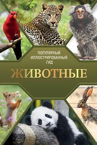 Животные. Популярный иллюстрированный гид