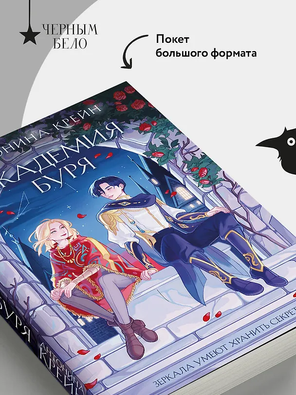 Книга Шолох. Академия Буря (Антонина Крейн) — 6