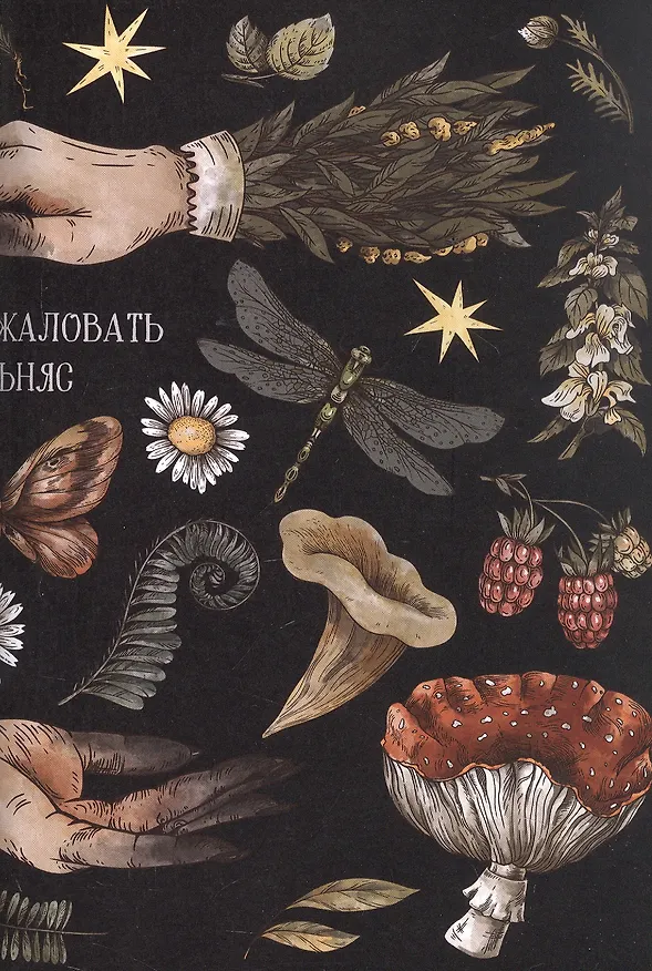 Книга Я у мамы зельевар. Держись, столица! (Марина Комарова) — 4