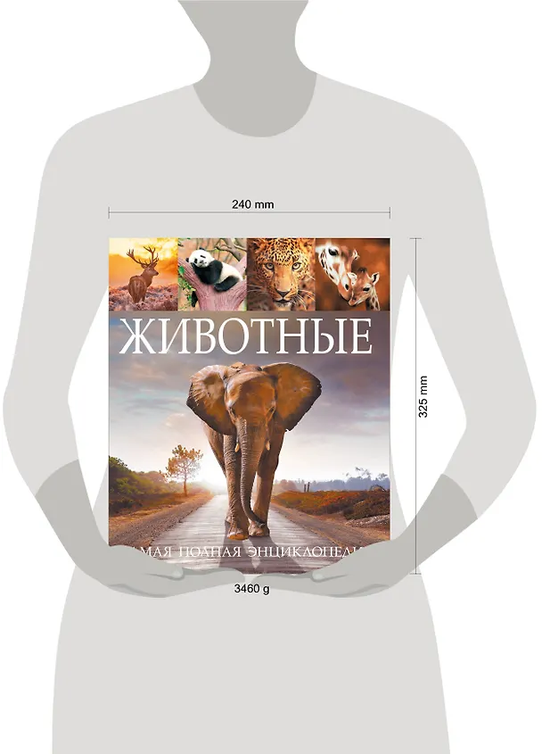 Книга Животные. Самая полная энциклопедия () — 4