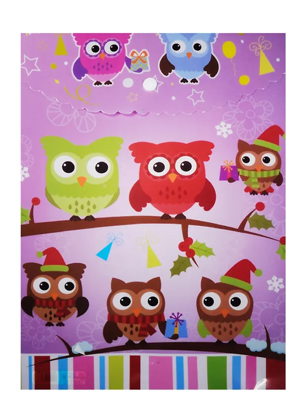 Папка -конверт «Совы. Owls» А4 на кнопке, вертикальная 242282 — 2