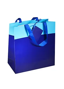 Пакет подарочный бумажный А4 28*28*10 синий, мат. ламинат, Хансибэг