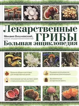 Лекарственные грибы. Большая энциклопедия — 2431923 — 1