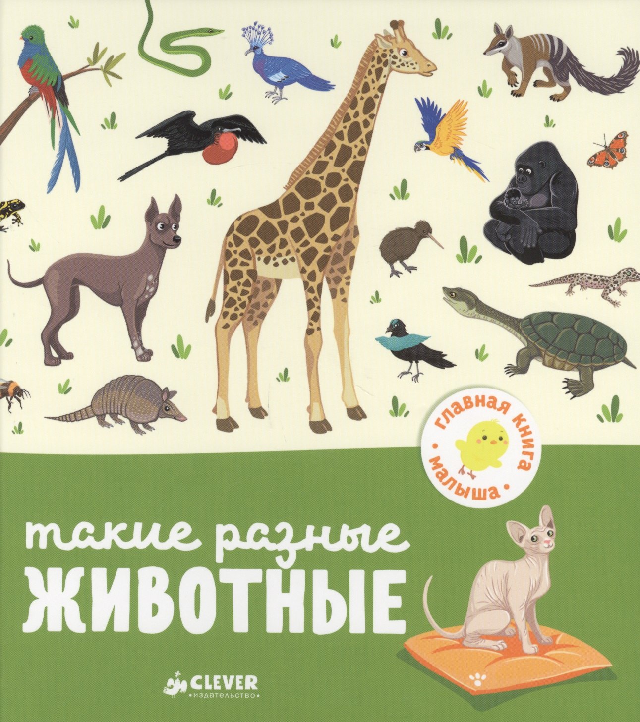 

Такие разные животные