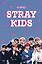 Книга для записей А5 64л лин. "Stray Kids" — 3049923 — 1