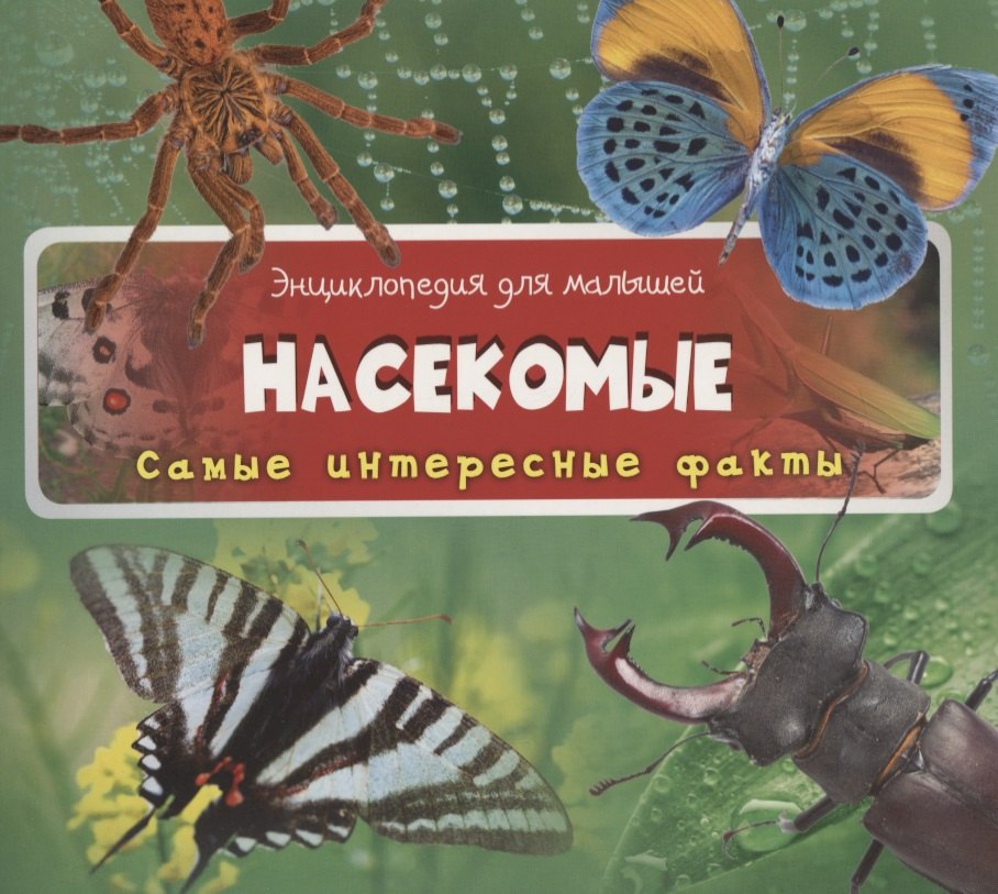 

Насекомые
