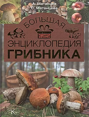 Большая энциклопедия грибника — 2568128 — 1