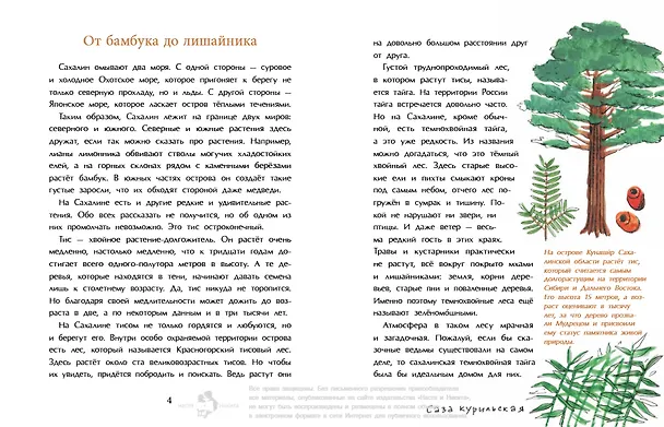 Книга Сахалин. Самый большой остров в России (Анастасия Кудряшова) — 2