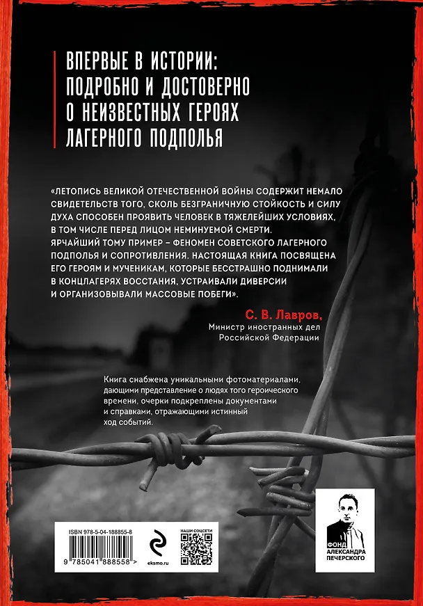 Книга За рамками Нюрнберга: герои сопротивления в нацистских концлагерях (Илья Васильев, Марина Посадская) — 2