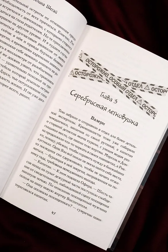 Книга Отдел примирившихся врагов (Эвелина Шегай) — 8