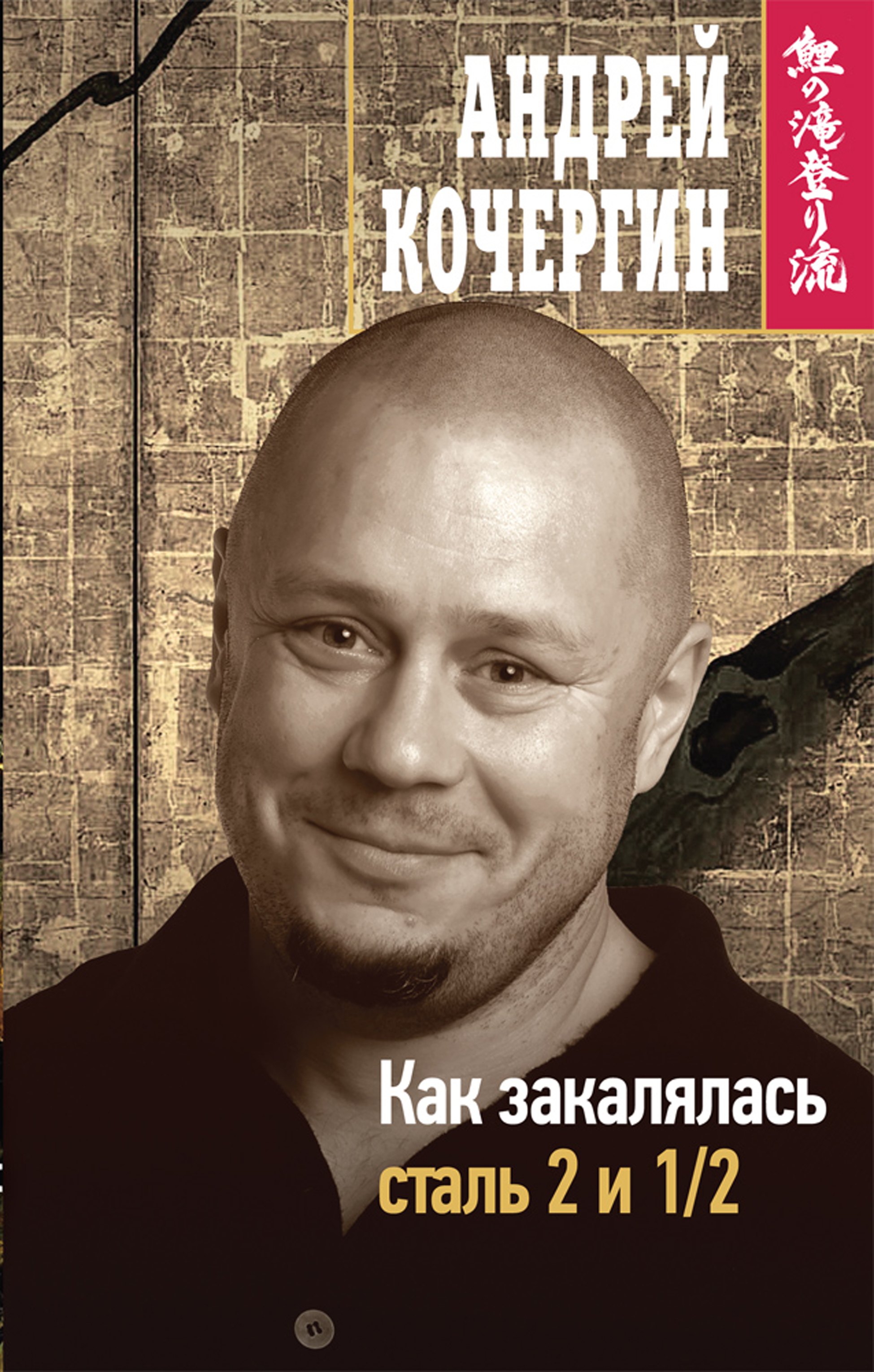 

Как закалялась сталь 2 и 1/2