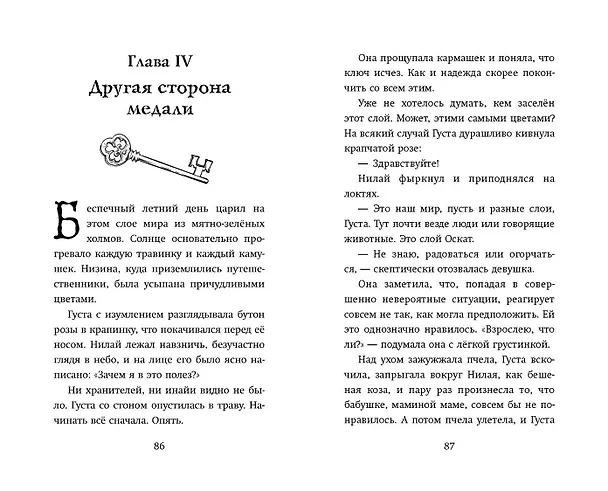 Книга Наоборотный мир (Гульшат Абдеева) — 11