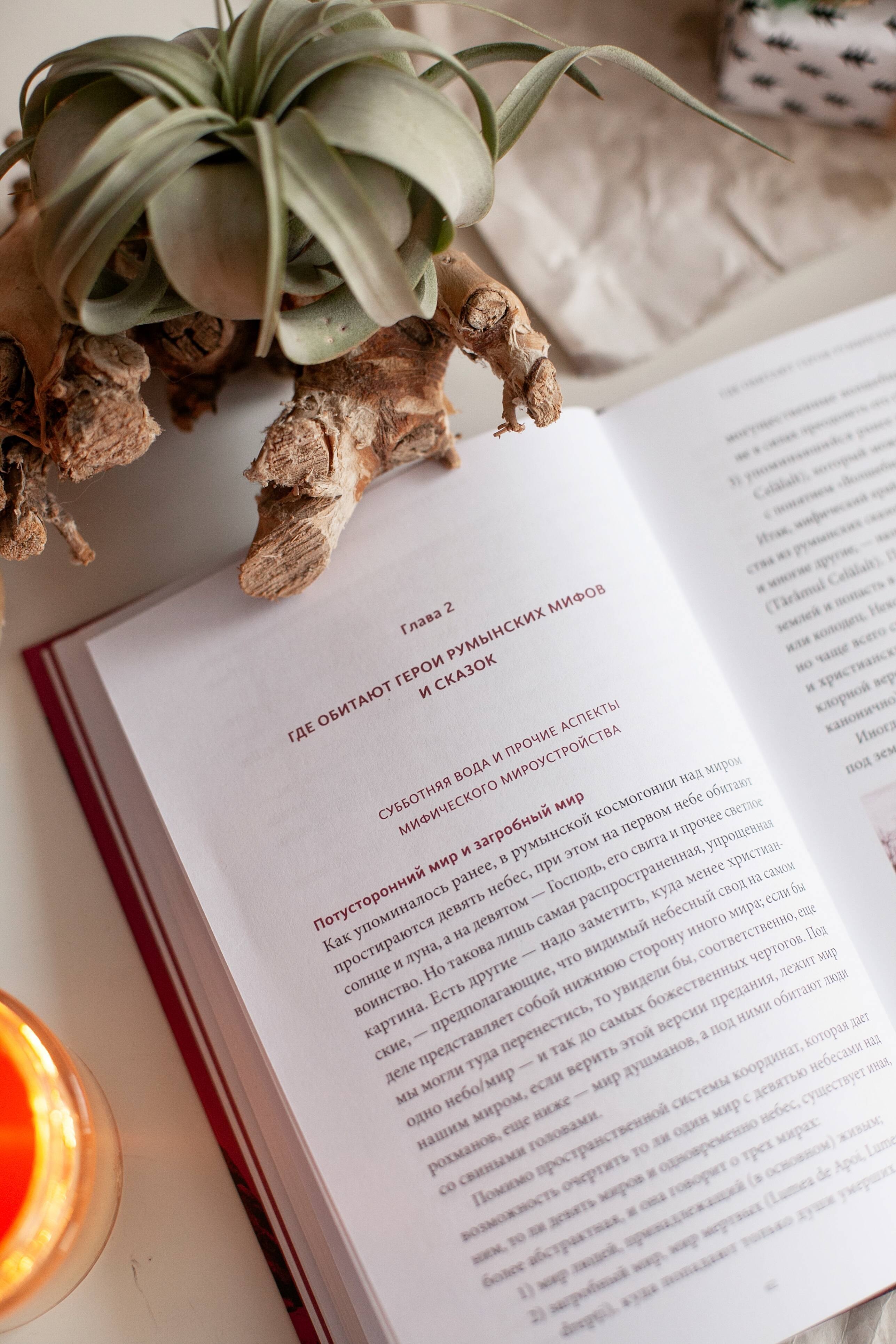 Изображение бумажной книги