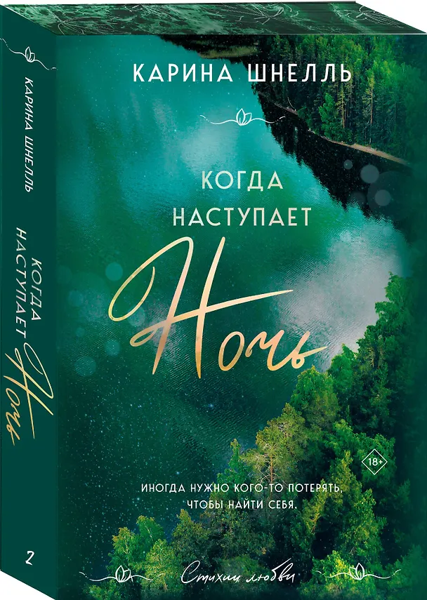 Книга Когда наступает ночь (Карина Шнелль) — 6