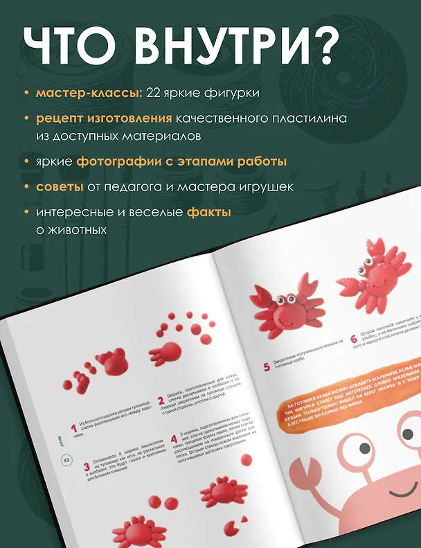 Книга Живой пластилин (Екатерина Пискунова) — 6