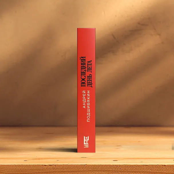 Книга Последний день лета (Андрей Подшибякин) — 12