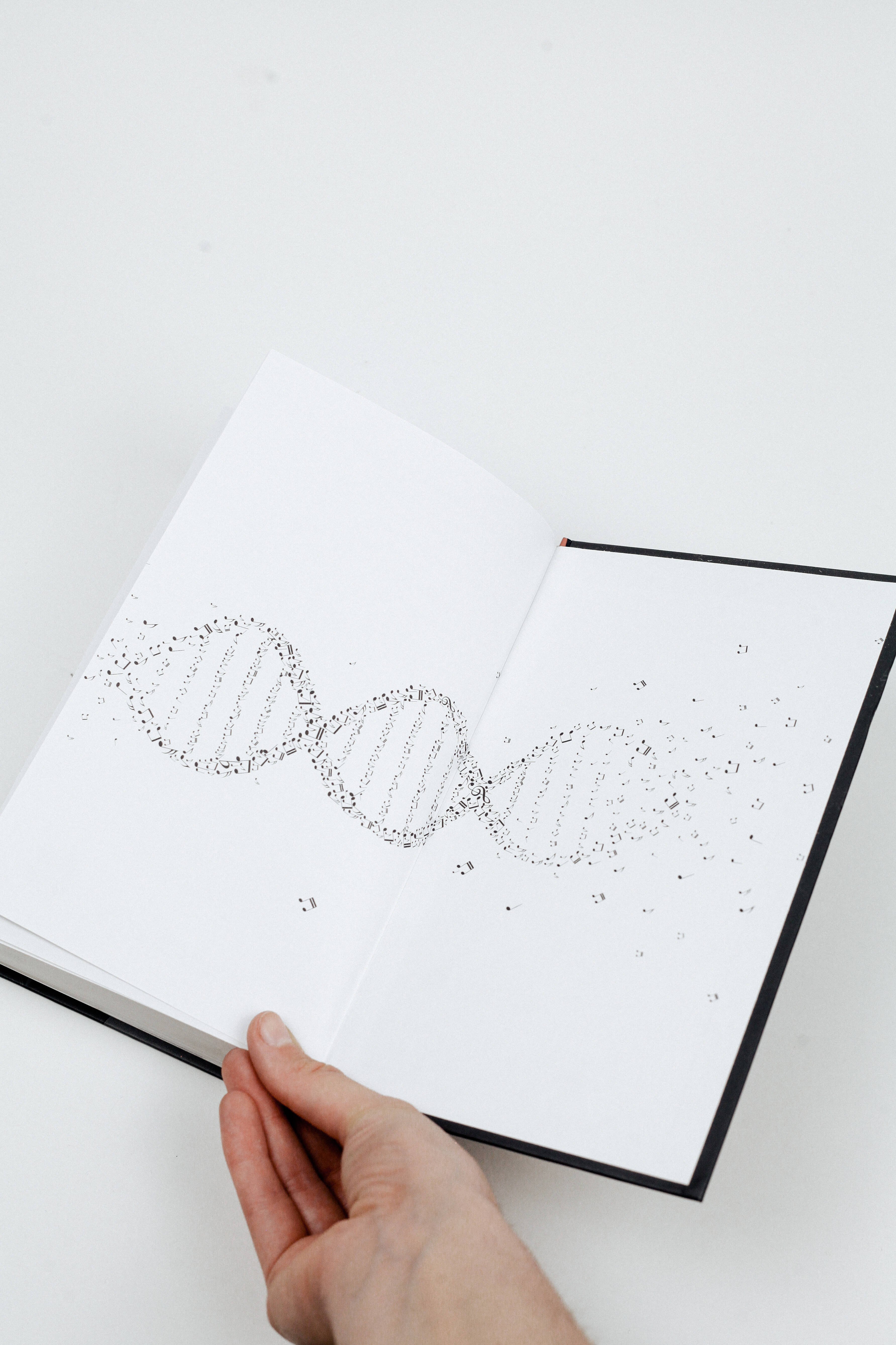 Изображение бумажной книги