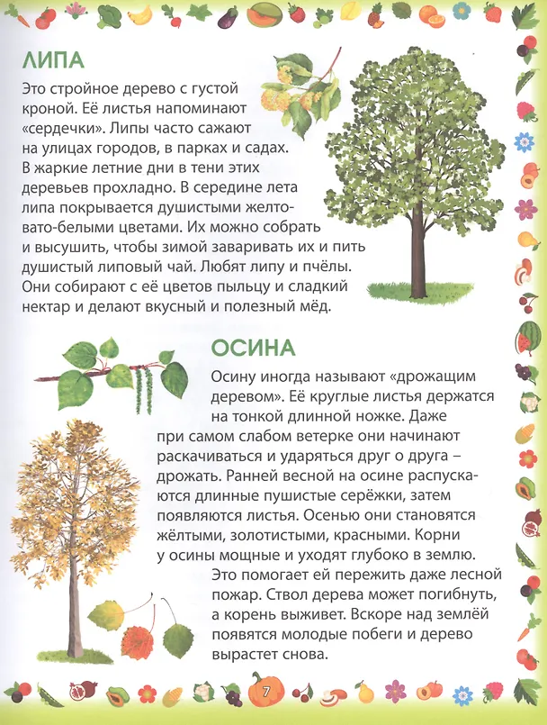 Книга Растения (Елена Гриценко) — 4