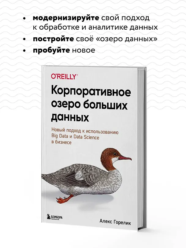 Книга Корпоративное озеро больших данных. Новый подход к использованию Big Data и Data Science в бизнесе (Алекс Горелик) — 7