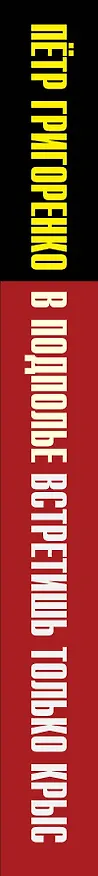 Книга В подполье встретишь только крыс (Петр Григоренко) — 3