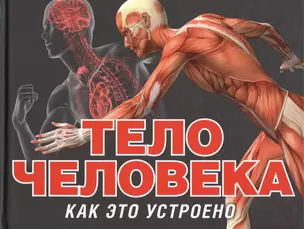 Тело человека — 2479044 — 1