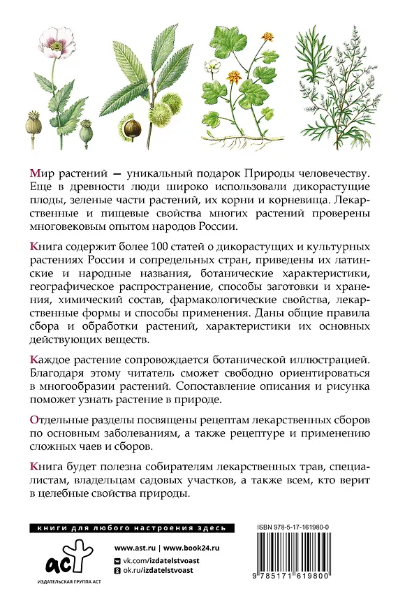 Книга Травник. Лекарственные растения от А до Я (Николай Сафонов) — 2
