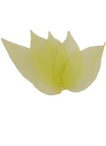 Листья скелетированные в ОРР с подвесом, 5 шт, 7 см, зеленые