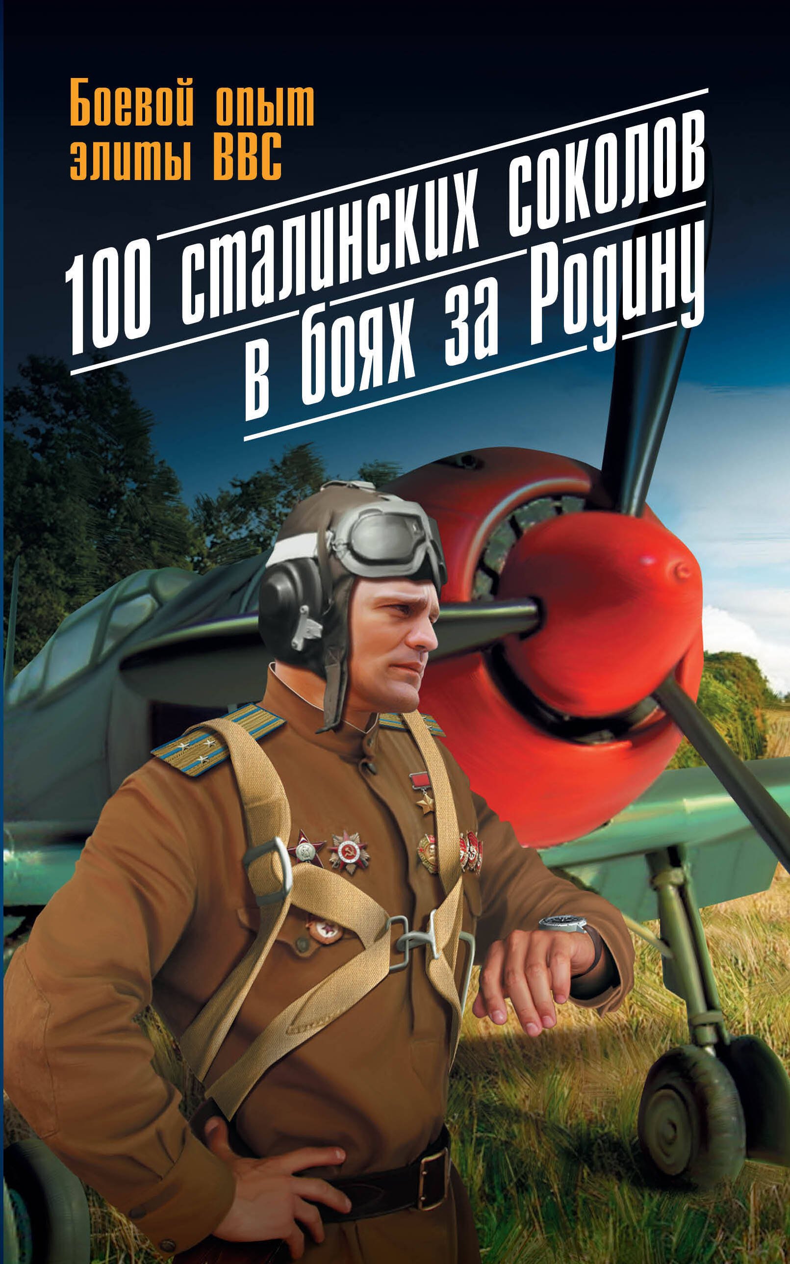 

100 сталинских соколов в боях за Родину : Боевой опыт элиты ВВС.