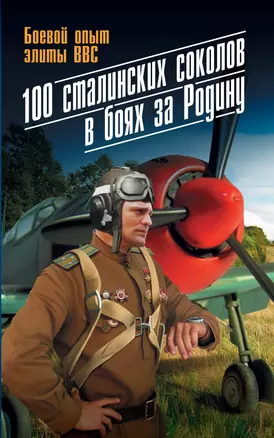 100 сталинских соколов в боях за Родину : Боевой опыт элиты ВВС. — 2380213 — 1